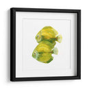 Discus Fish Ii - Emma Scarvey | Cuadro decorativo de Canvas Lab