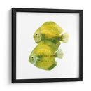 Discus Fish Ii - Emma Scarvey | Cuadro decorativo de Canvas Lab