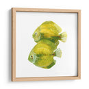 Discus Fish Ii - Emma Scarvey | Cuadro decorativo de Canvas Lab