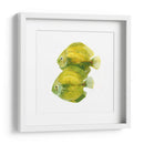 Discus Fish Ii - Emma Scarvey | Cuadro decorativo de Canvas Lab