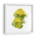 Discus Fish Ii - Emma Scarvey | Cuadro decorativo de Canvas Lab