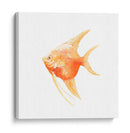 Discus Fish Iii - Emma Scarvey | Cuadro decorativo de Canvas Lab