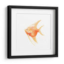 Discus Fish Iii - Emma Scarvey | Cuadro decorativo de Canvas Lab