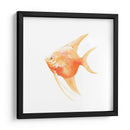 Discus Fish Iii - Emma Scarvey | Cuadro decorativo de Canvas Lab