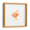 Discus Fish Iii - Emma Scarvey | Cuadro decorativo de Canvas Lab