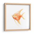 Discus Fish Iii - Emma Scarvey | Cuadro decorativo de Canvas Lab