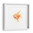 Discus Fish Iii - Emma Scarvey | Cuadro decorativo de Canvas Lab