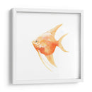 Discus Fish Iii - Emma Scarvey | Cuadro decorativo de Canvas Lab