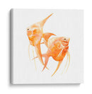 Discus Fish Iv - Emma Scarvey | Cuadro decorativo de Canvas Lab