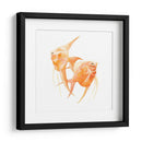 Discus Fish Iv - Emma Scarvey | Cuadro decorativo de Canvas Lab