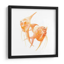 Discus Fish Iv - Emma Scarvey | Cuadro decorativo de Canvas Lab