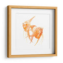 Discus Fish Iv - Emma Scarvey | Cuadro decorativo de Canvas Lab