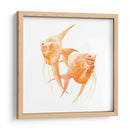 Discus Fish Iv - Emma Scarvey | Cuadro decorativo de Canvas Lab