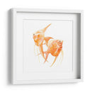 Discus Fish Iv - Emma Scarvey | Cuadro decorativo de Canvas Lab