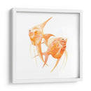 Discus Fish Iv - Emma Scarvey | Cuadro decorativo de Canvas Lab