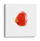 Disco De Disco V - Emma Scarvey | Cuadro decorativo de Canvas Lab