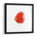 Disco De Disco V - Emma Scarvey | Cuadro decorativo de Canvas Lab