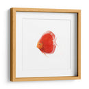 Disco De Disco V - Emma Scarvey | Cuadro decorativo de Canvas Lab