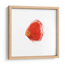 Disco De Disco V - Emma Scarvey | Cuadro decorativo de Canvas Lab