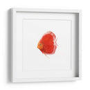 Disco De Disco V - Emma Scarvey | Cuadro decorativo de Canvas Lab