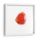 Disco De Disco V - Emma Scarvey | Cuadro decorativo de Canvas Lab