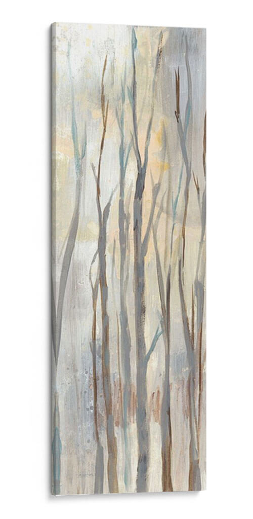 Birches Wispy Ii - Jennifer Goldberger | Cuadro decorativo de Canvas Lab