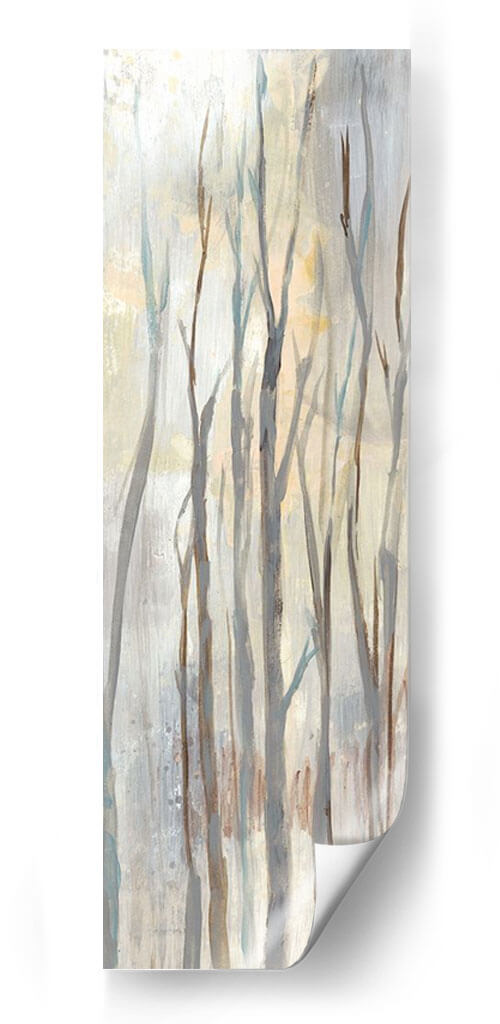 Birches Wispy Ii - Jennifer Goldberger | Cuadro decorativo de Canvas Lab