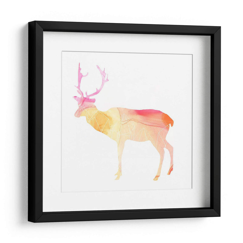 Agata Animal V - June Erica Vess | Cuadro decorativo de Canvas Lab