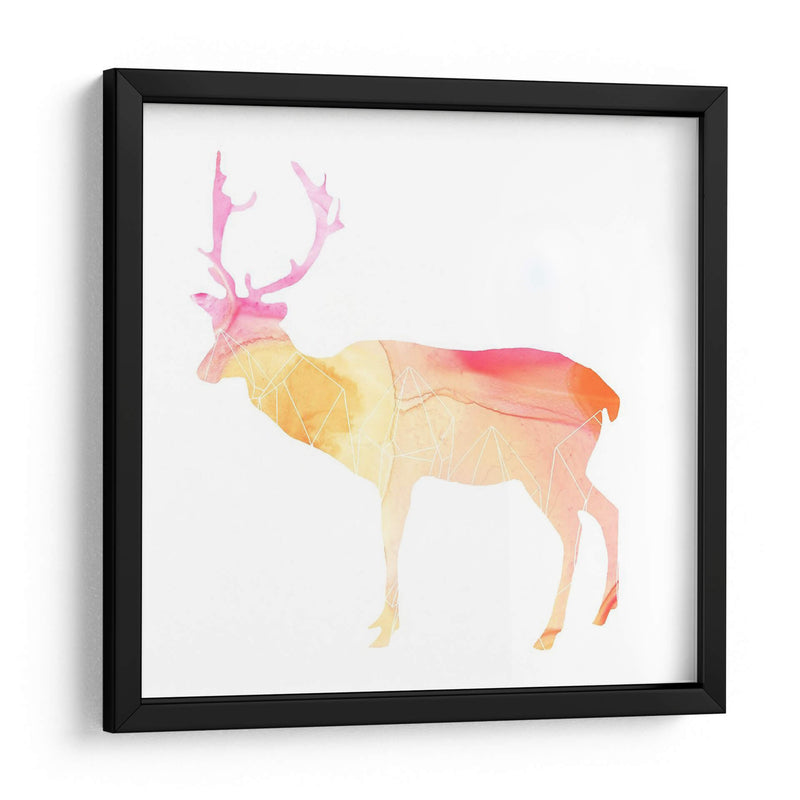 Agata Animal V - June Erica Vess | Cuadro decorativo de Canvas Lab