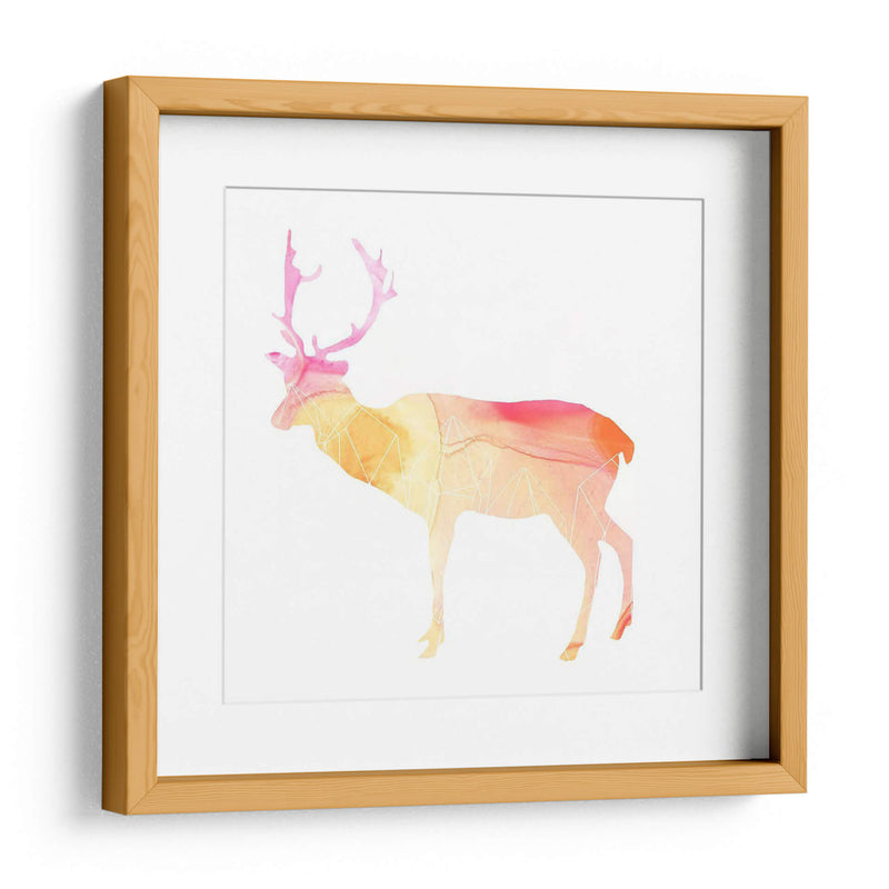 Agata Animal V - June Erica Vess | Cuadro decorativo de Canvas Lab