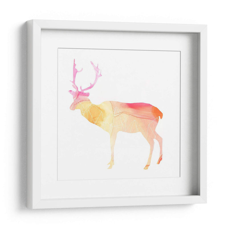 Agata Animal V - June Erica Vess | Cuadro decorativo de Canvas Lab