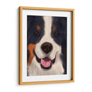 Perro Grande Berneo - Fab Funky | Cuadro decorativo de Canvas Lab