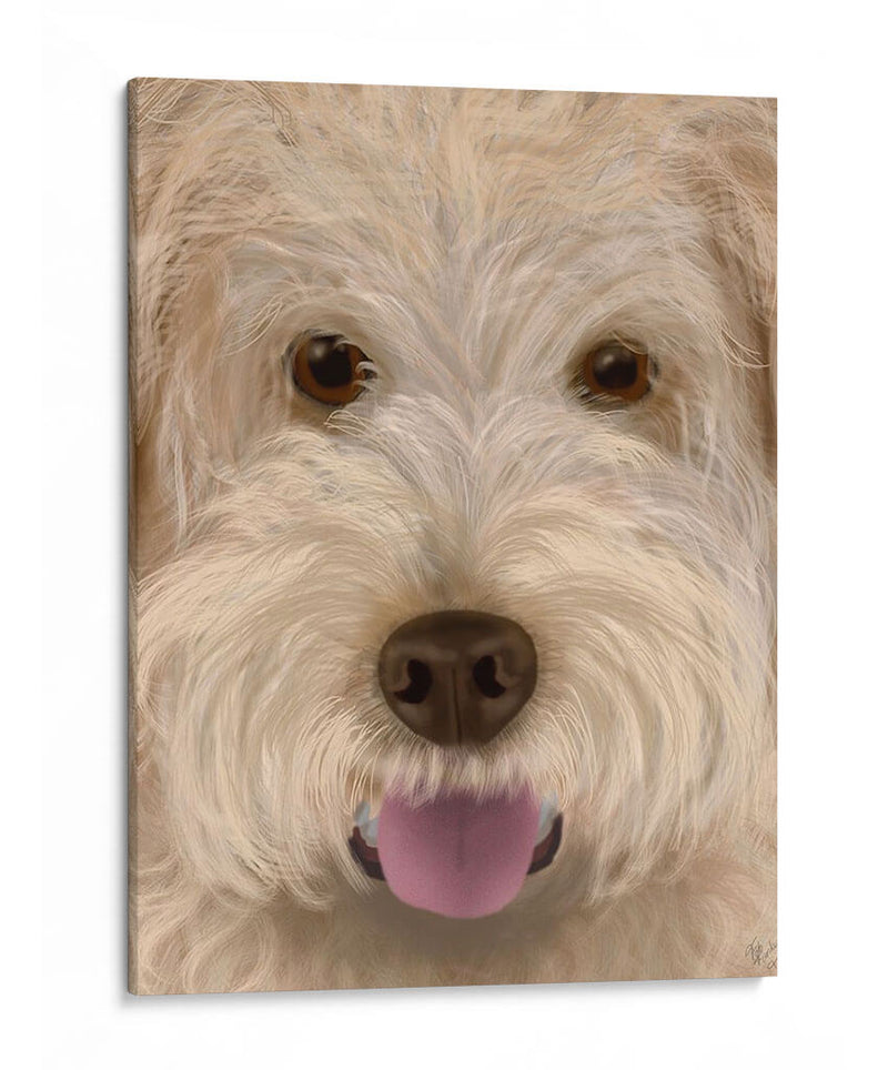 Labradoodle Perro Grande - Fab Funky | Cuadro decorativo de Canvas Lab