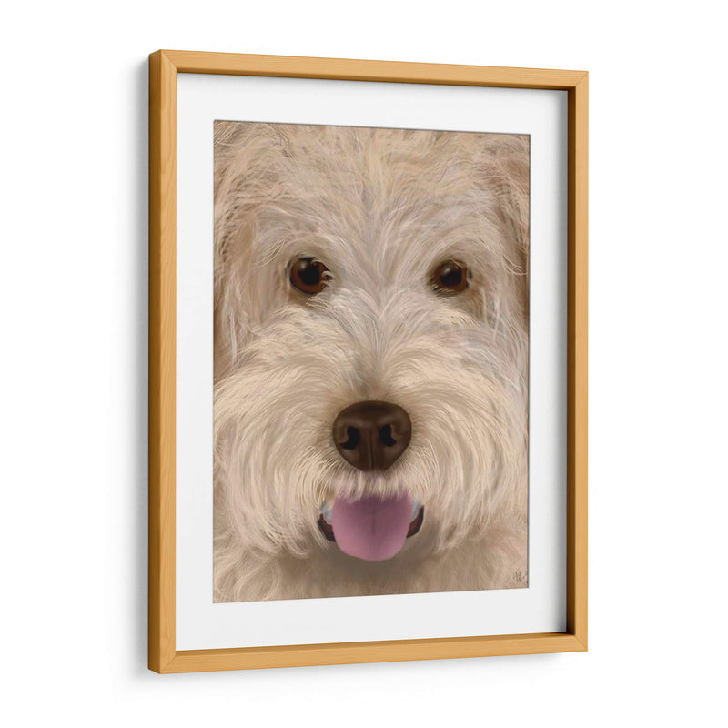 Labradoodle Perro Grande - Fab Funky | Cuadro decorativo de Canvas Lab