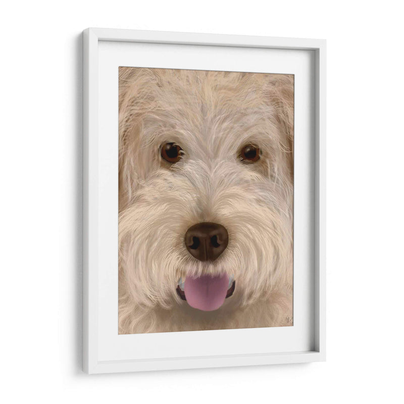 Labradoodle Perro Grande - Fab Funky | Cuadro decorativo de Canvas Lab