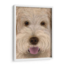 Labradoodle Perro Grande - Fab Funky | Cuadro decorativo de Canvas Lab