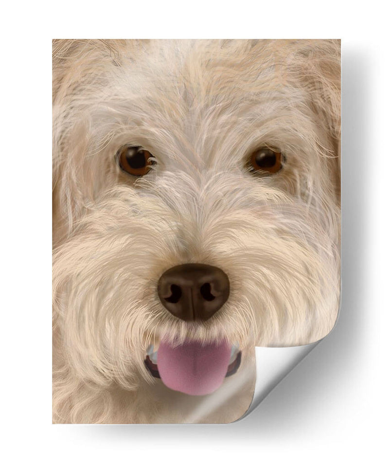 Labradoodle Perro Grande - Fab Funky | Cuadro decorativo de Canvas Lab