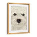 Westie Big Dog - Fab Funky | Cuadro decorativo de Canvas Lab