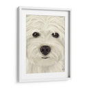 Westie Big Dog - Fab Funky | Cuadro decorativo de Canvas Lab