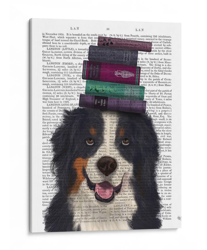Bernés Y Libros - Fab Funky | Cuadro decorativo de Canvas Lab