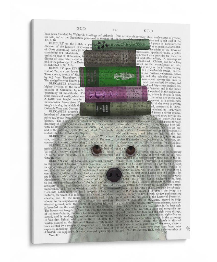 Bichon Frise Y Libros - Fab Funky | Cuadro decorativo de Canvas Lab