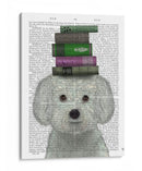 Bichon Frise Y Libros - Fab Funky | Cuadro decorativo de Canvas Lab