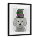 Bichon Frise Y Libros - Fab Funky | Cuadro decorativo de Canvas Lab