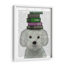Bichon Frise Y Libros - Fab Funky | Cuadro decorativo de Canvas Lab
