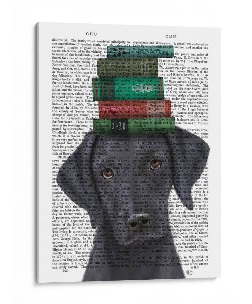 Labrador Negro Y Libros - Fab Funky | Cuadro decorativo de Canvas Lab