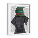 Labrador Negro Y Libros - Fab Funky | Cuadro decorativo de Canvas Lab