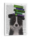 Border Collie, Blanco Y Negro, Y Libros. - Fab Funky | Cuadro decorativo de Canvas Lab