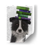 Border Collie, Blanco Y Negro, Y Libros. - Fab Funky | Cuadro decorativo de Canvas Lab