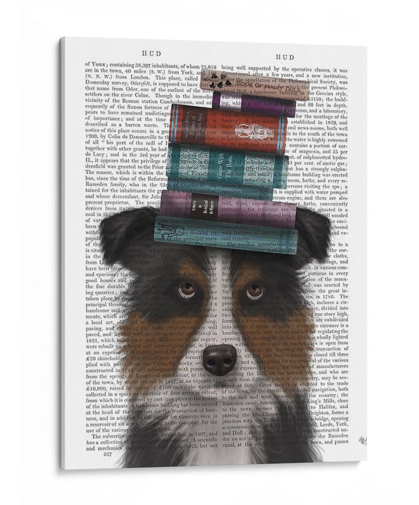 Border Collie, Tricolor Y Libros. - Fab Funky | Cuadro decorativo de Canvas Lab