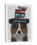 Border Collie, Tricolor Y Libros. - Fab Funky | Cuadro decorativo de Canvas Lab